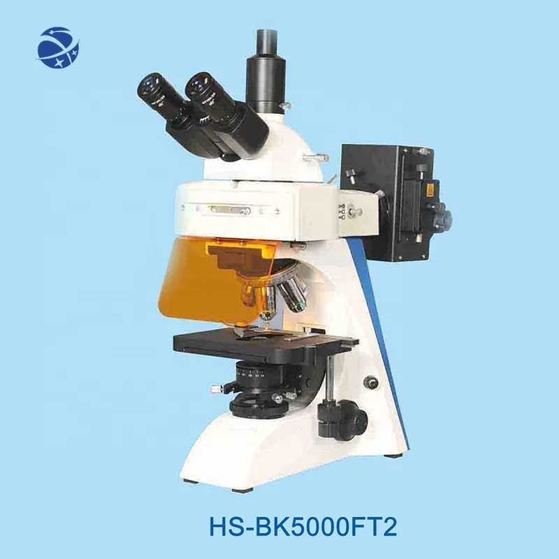 Microscope Medical Pathology Laboratory Histology Fluorescence Biological Hospital