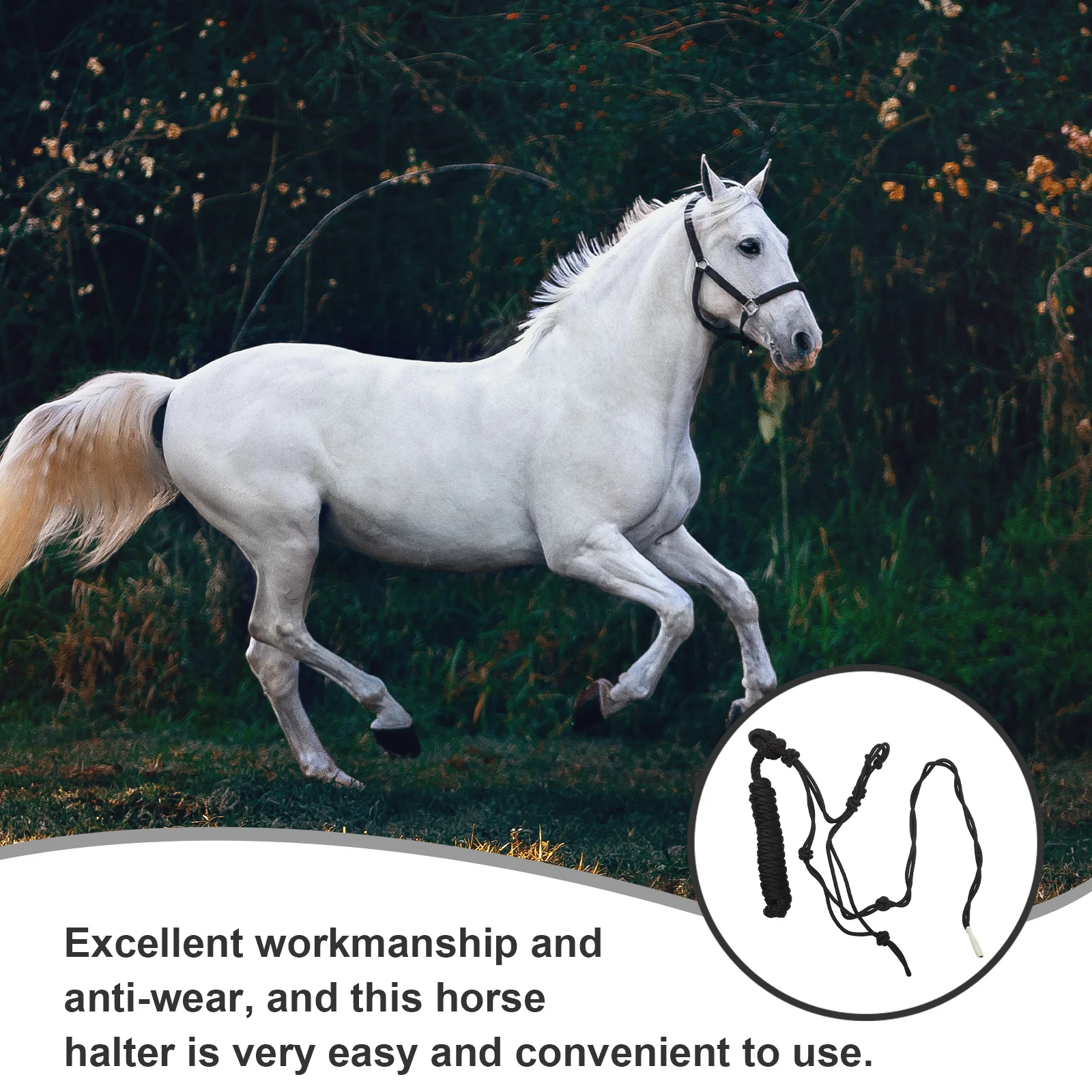 

Horse Halter Wear-Resistant Training Halter Portable Lightweight Safety Rope Bridle Headstall Outdoor Riding
