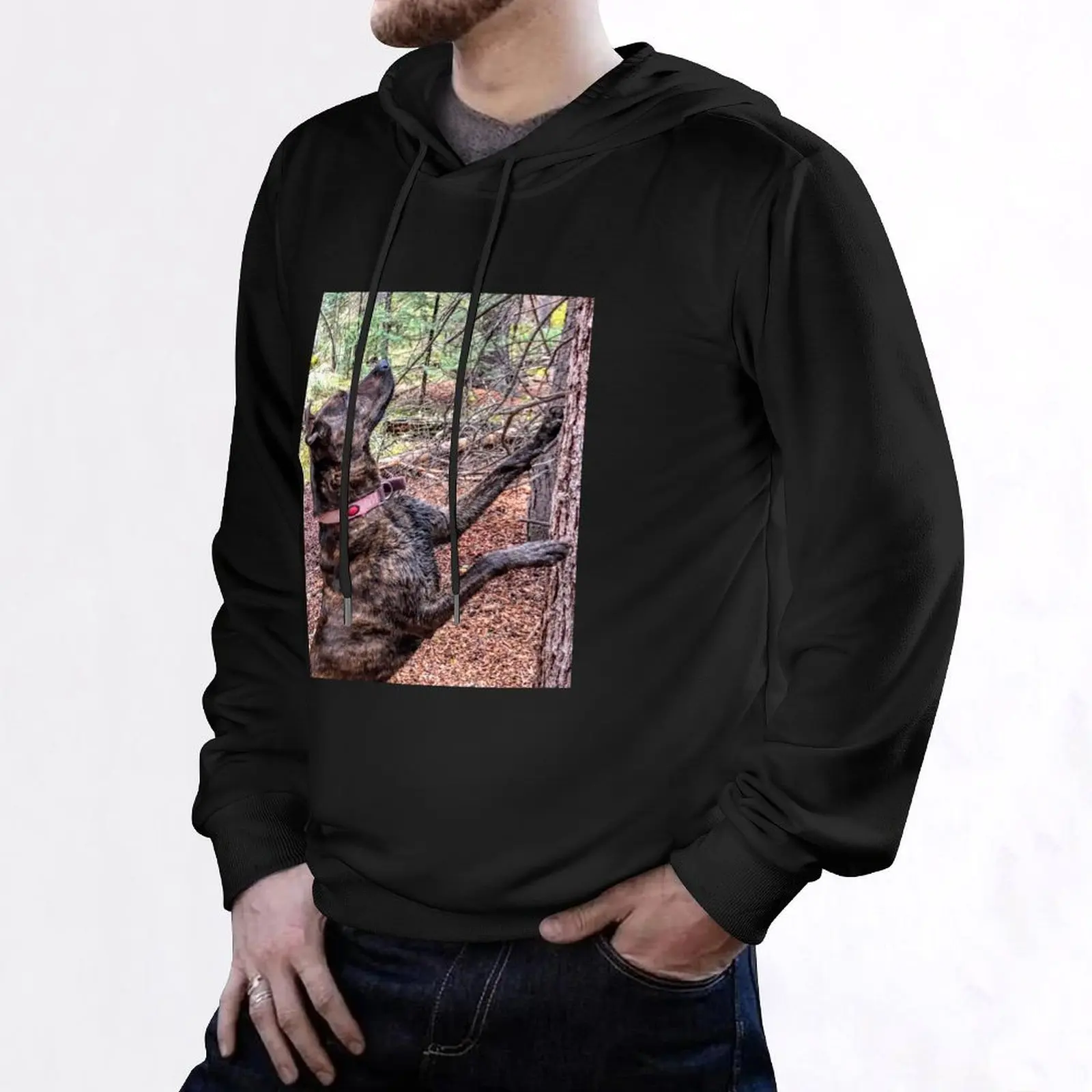 Squirrel Chasing Plott Hound Hoodie men's sweat-shirt autumn jacket men korean clothes men's coat graphic hoodies