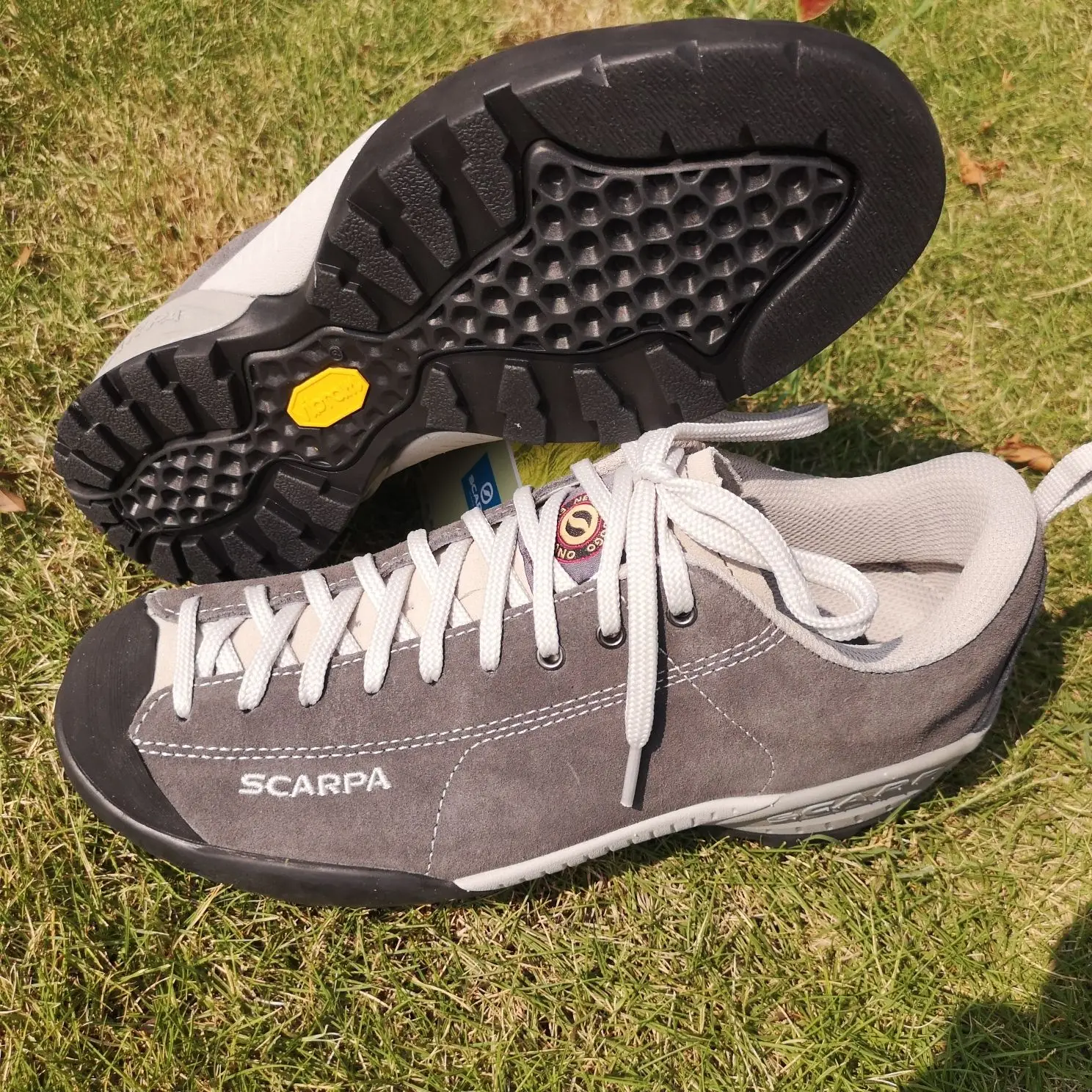 

2025 New Outdoor Men's Hiking Shoes Low Cut Breathable Couple Hiking Shoe