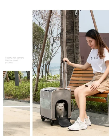 

Grey Luggage with Pulley Foldable Pet Stroller Bag, Multifunctional Stroller Box for Carrying Cats Dogs Out on Business Trips