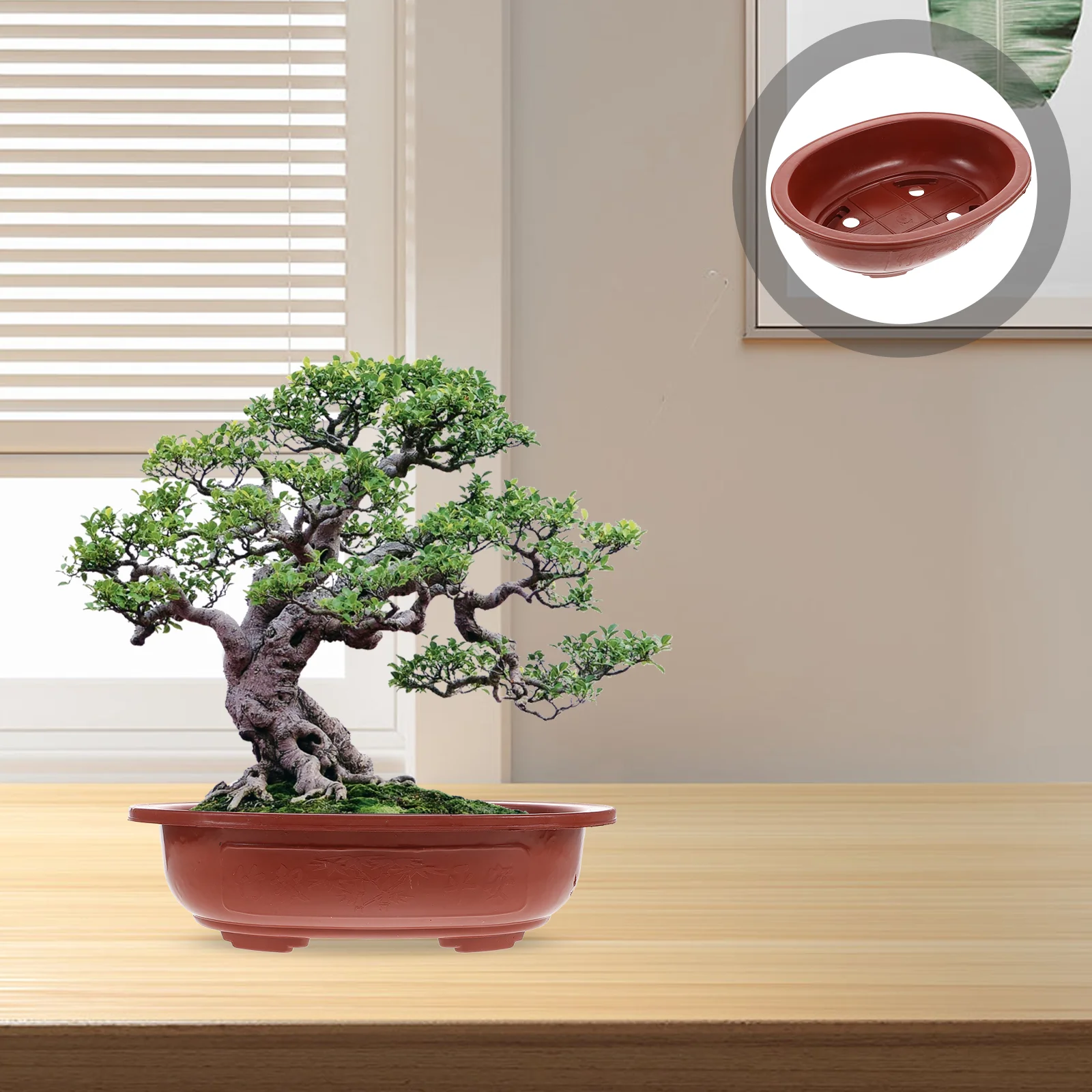 4 pezzi vaso da fiori addensato fioriera per uso domestico vasi da interno scatole per bonsai supporto per piantare piante succulente in plastica