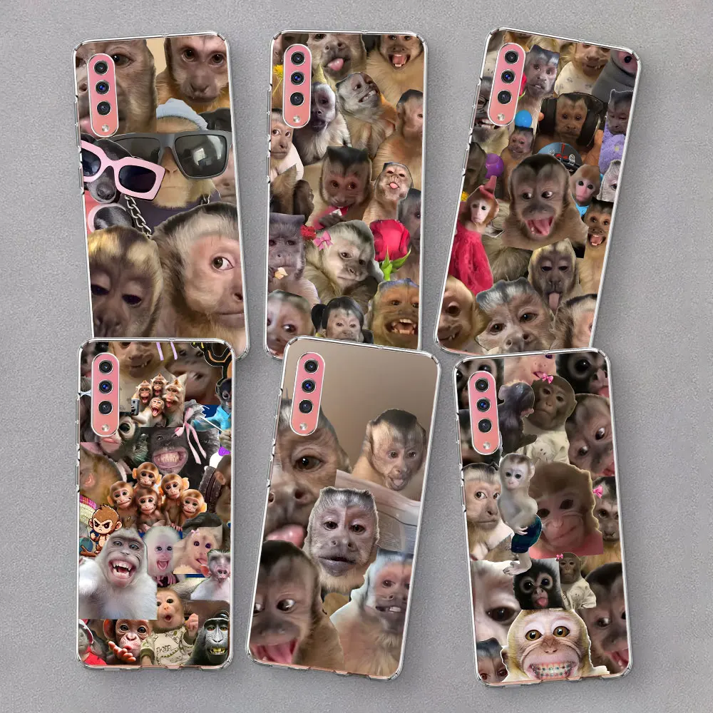 Creative Monkey Pat… - image