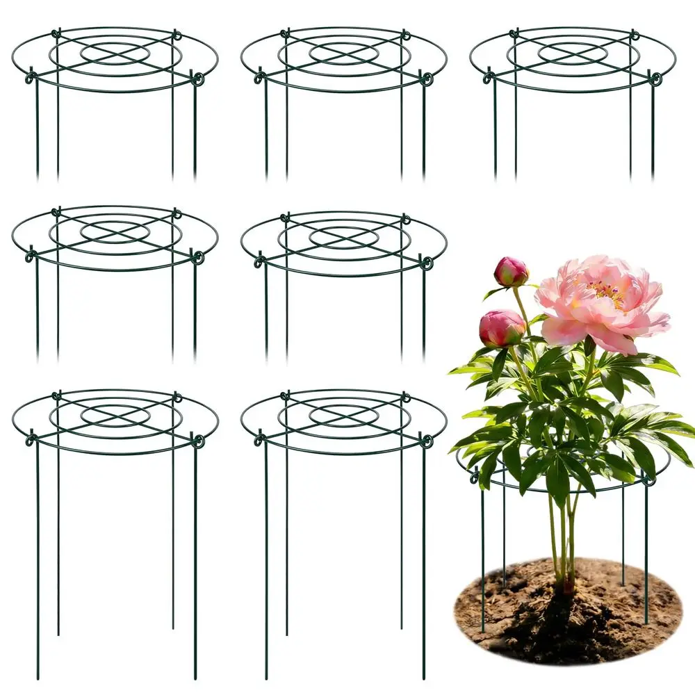 Cages And Supports …