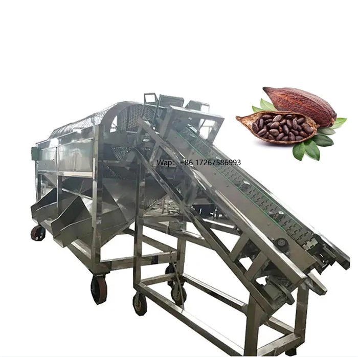 

Automatic Cocoa Cutting Machine for Efficient Cocoa Nibs Processing with Precision Blades and High Production Capacity