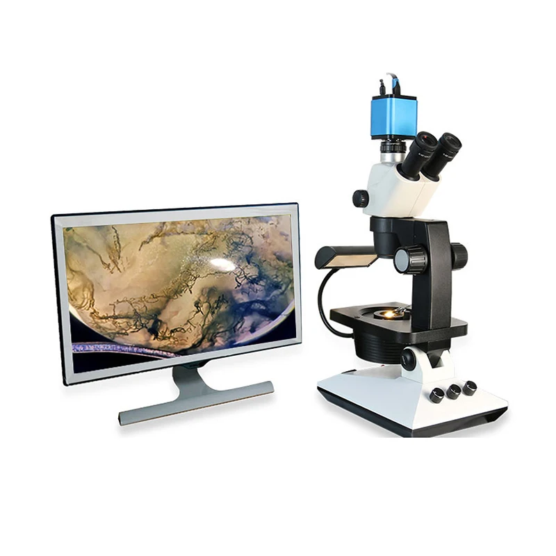 Fable marque 10W Mode d'éclairage multi-fonction composé de laboratoire optique trinoculaire stéréo gemme Microscope avec CCD Camaera