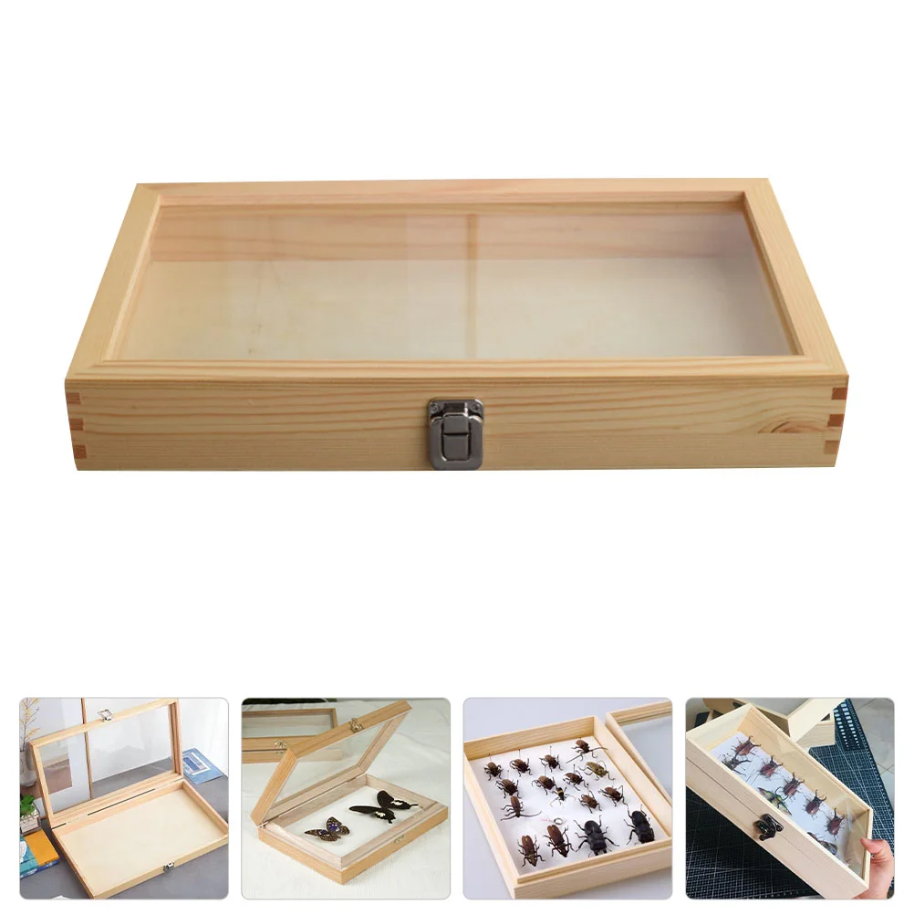 

Container Display Case Entomology Boxes Glass and Metal Vintage Specimen