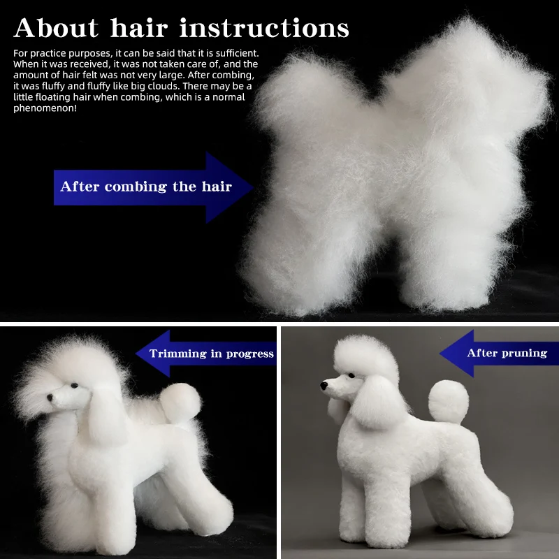Pet Simulation Hair Beauty Fake Beautician Practicing Dog Standard Poodle Full Body Skeleton Model Dog for Pet Grooming