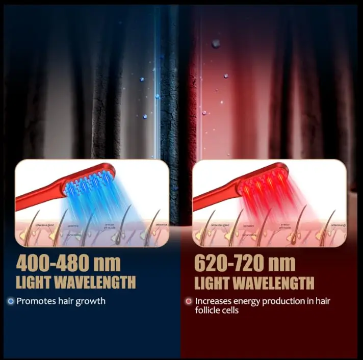 Laser Hair Growth Comb, Red Light Hair Growth Treatment Suitable for Both Men and Women view 3