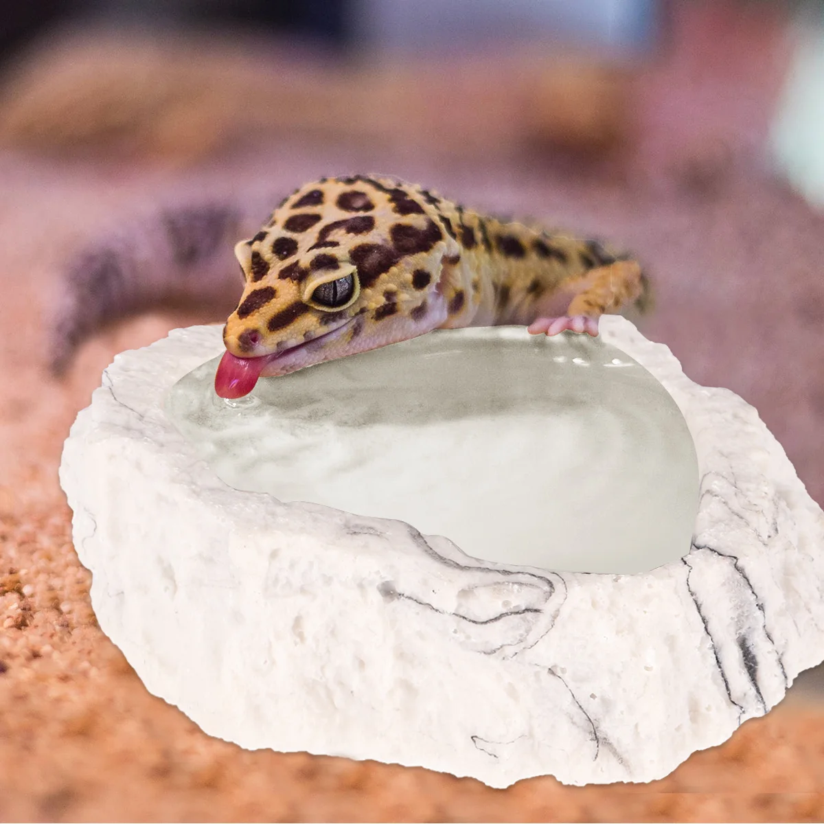 

1Pcs Bark Texture Reptile Feeding Bowl Resin Pet Dish Safe Material Easy Clean Comfortable Mealtime for Small Animals