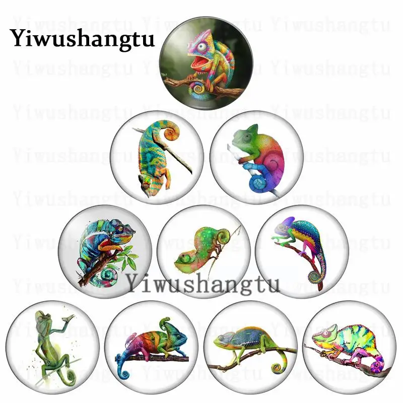 New Reptiles chameleon cartoon lizard 12mm/20mm/25mm/30mm Round photo glass cabochon demo flat back Making findings