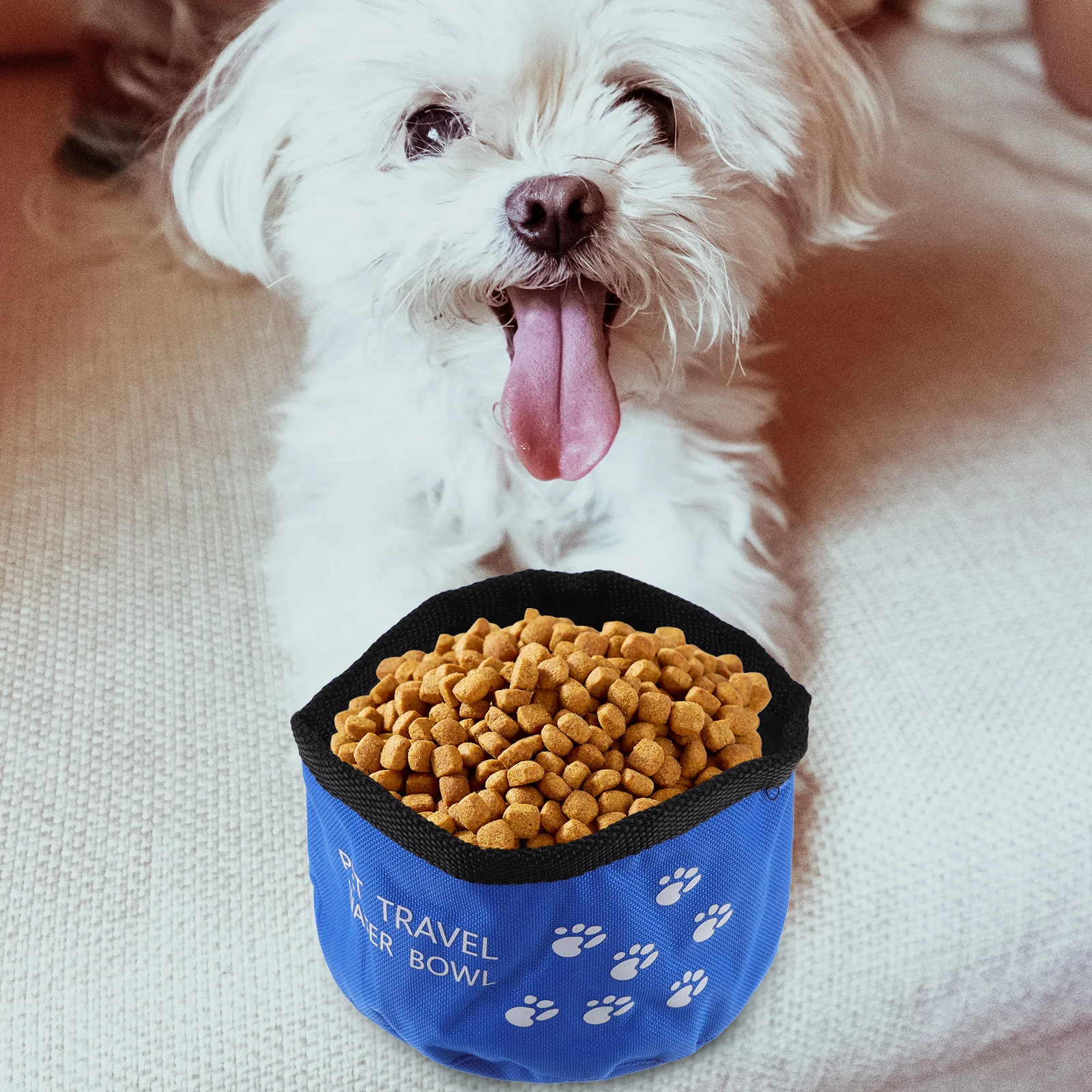 

2pcs Waterproof Portable Pet Dish Bowl Pet Bowl Supplies Travel Food Container Foldable Bowls