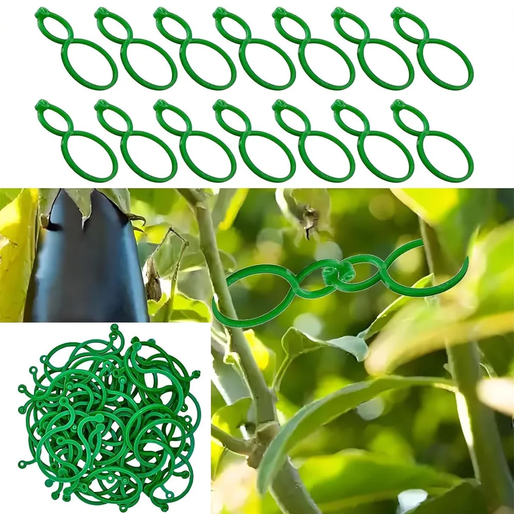 50Pcs 8 Word Buckle Vine Tying Clips Ring Fixing Bracket Garden Plant Holder Tools For Wall Climbing Decorations