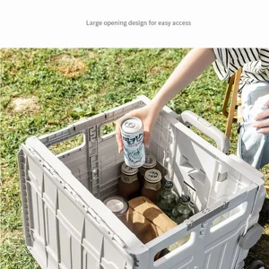 Multifunktionales Klappeinkaufswagen, kleiner Karren, Camp Cart im Freien, Klettern, Lebensmittelgeschäft, Express 12 Kauf des Hauptverkaufsautos - №9