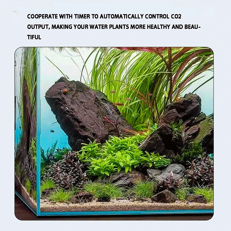ZRDR Aquarium Co2 Magnetventil Regler 110V-220V Niedrigtemperatur Co2 Aquarium Aquarium Elektrisches Magnetventil EU US DC12V – Detail 3