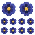 PE11632CT