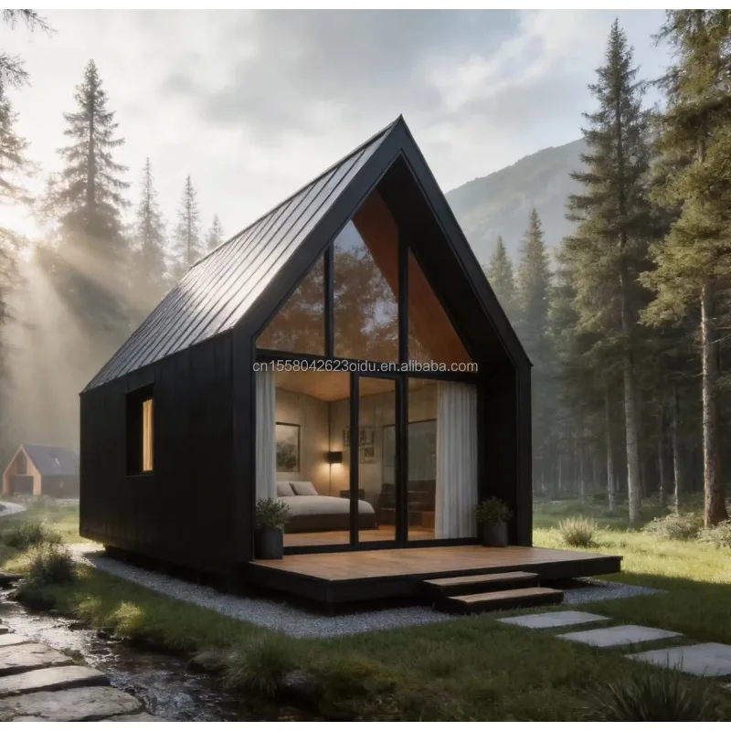 Luxury 20ft Prefabricated Wooden Triangular Steel Structure Tiny House EU Forest Housing with Bathroom & Gym Sale
