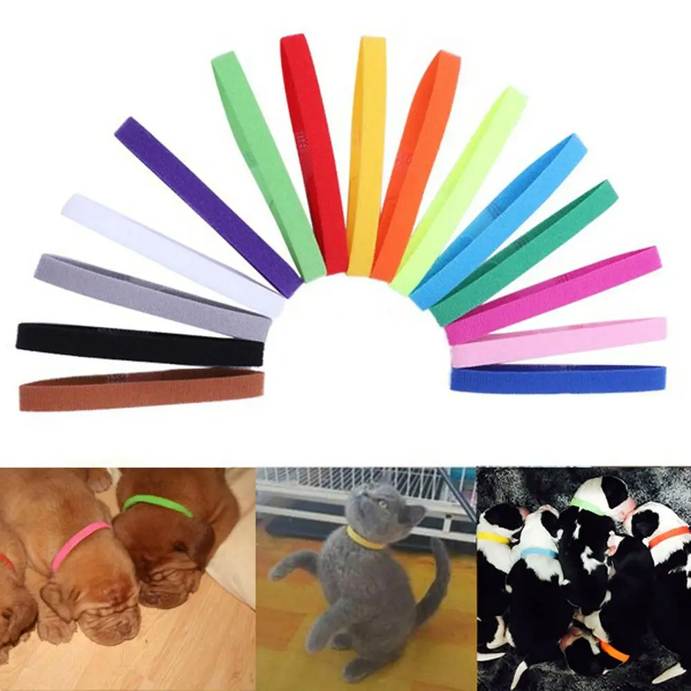 15PCS Identification ID Collars Whelp Kitten Dog Cat Velvet Practical Nylon Reusable Puppy ID Collar Pet Supplies