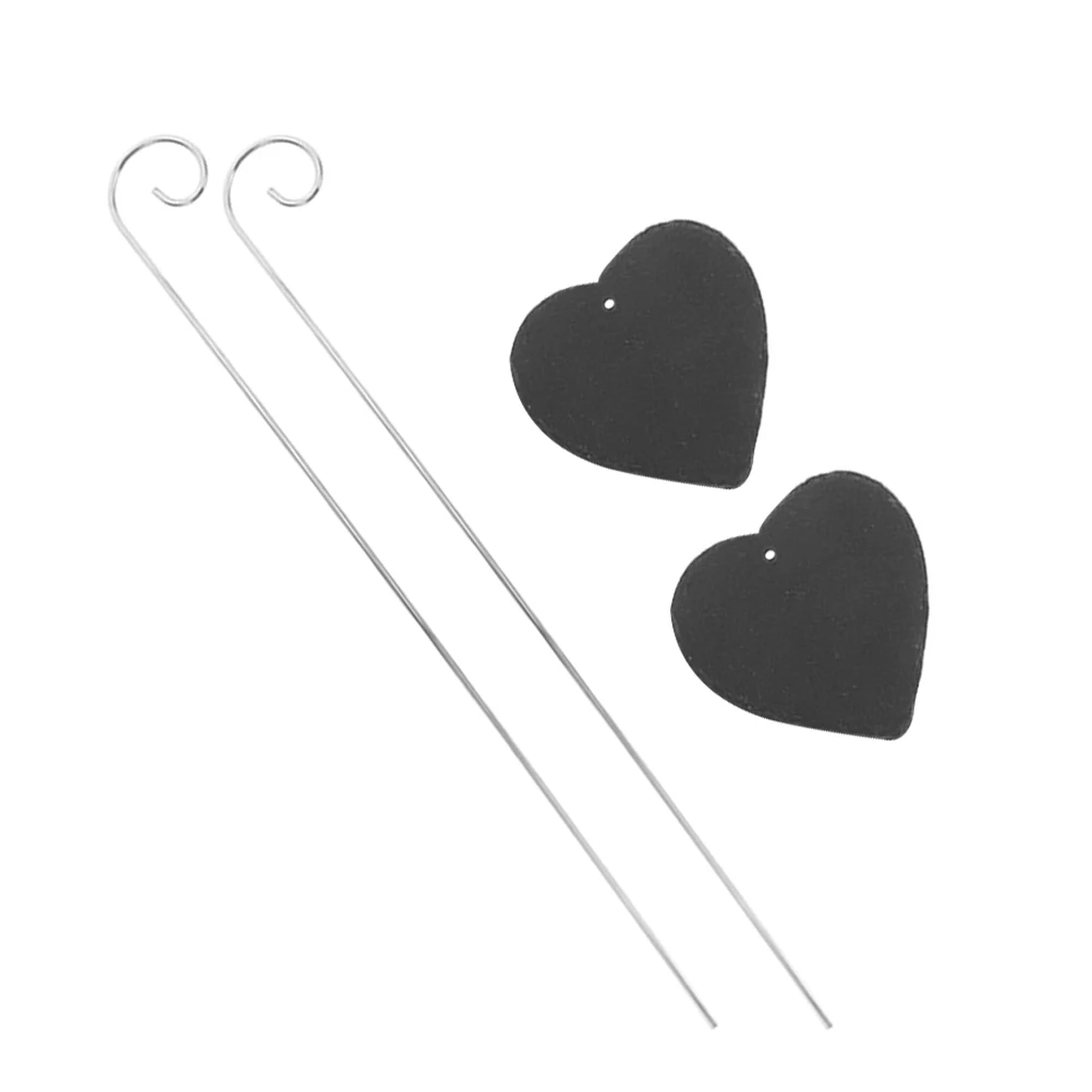 

2pcs Plant Labels Garden Stakes Waterproof Lasting Large Writing Space for Flowers Fruit Trees Easy Identification
