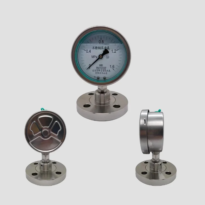 Thread Flange Connected Non Corrosive Stainless Steel Diaphragm Pressure Gauges