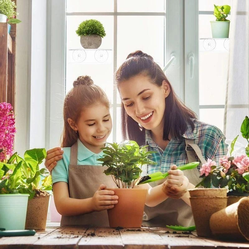 Estante ventana taza succión: jardín interior, sostenga sus macetas maceta, semilla