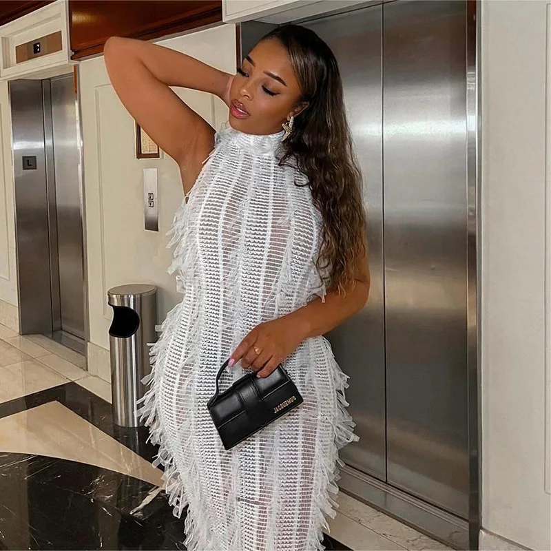 

2025 New New Fashion and Sexy Tassel Perspective Slim Fit Elegant Perspective Mesh Dress for Women's Fashion Vestido Women Party