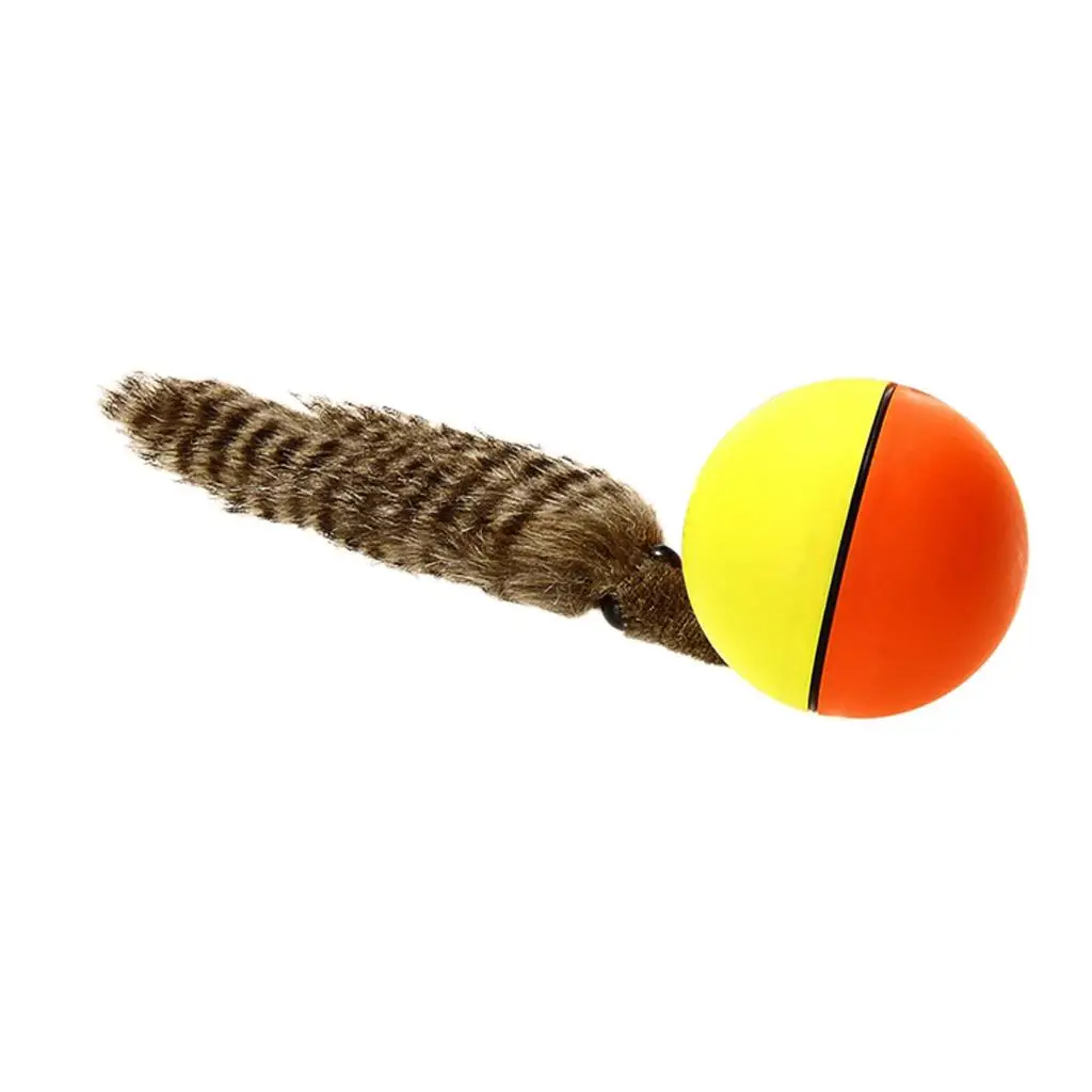 Kitten Teaser Toys Pet Rolling Ball Training Toys for Kitty Chasing