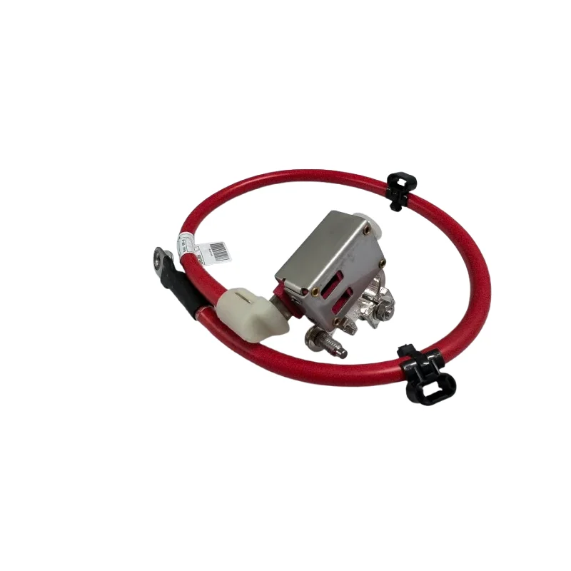 

4635400104 Professional Battery Cable G-class (W463) 2nd Generation 2018- Car Accessories Positive Battery Cable