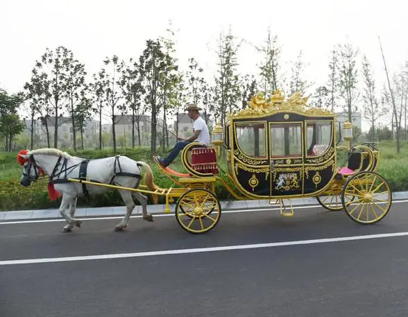 OEM Royal Horse Charries Charriers à vendre, Electric Wedding Europe Charries, Tourist Sightseeing