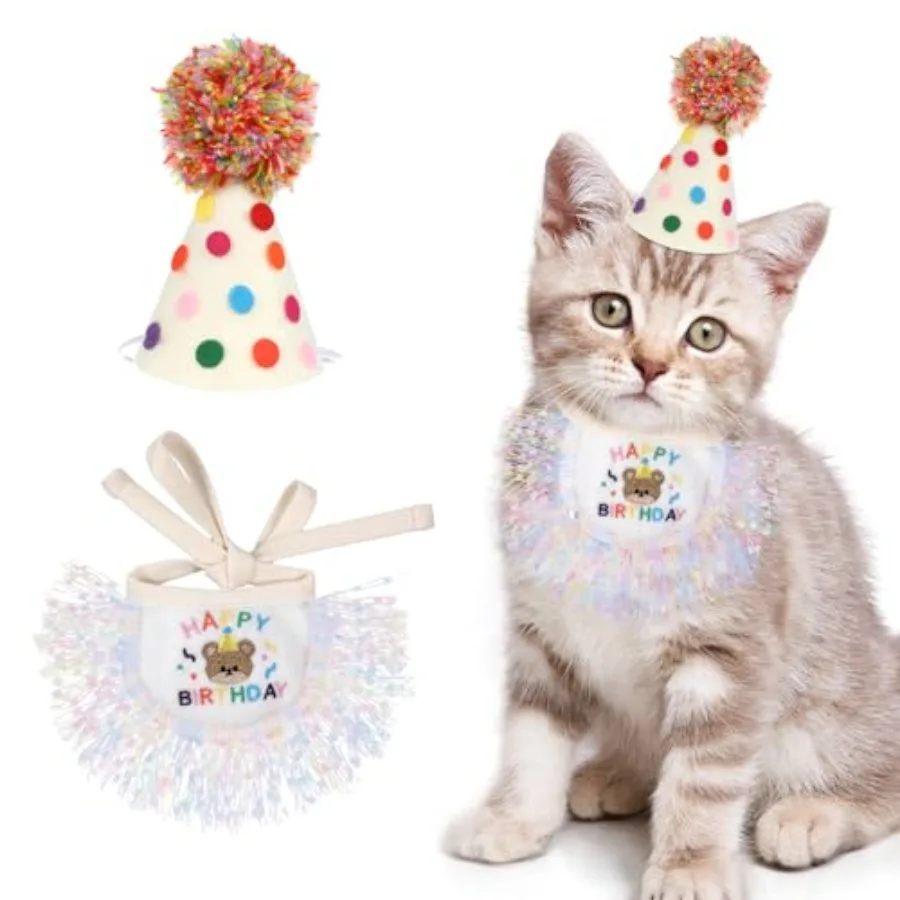 Cat Birthday Hat An…