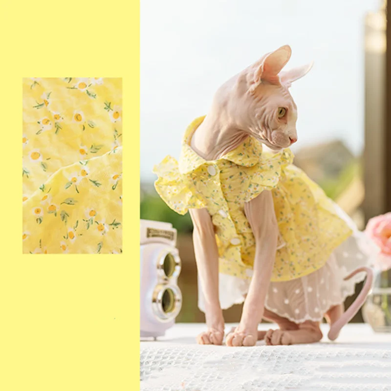 Sphinx Pet Cat Princess Clothes Black Dresses For Sphynx Lace Floral Kitten Suspender Skirt Elegant Costume Devon Spring Summer