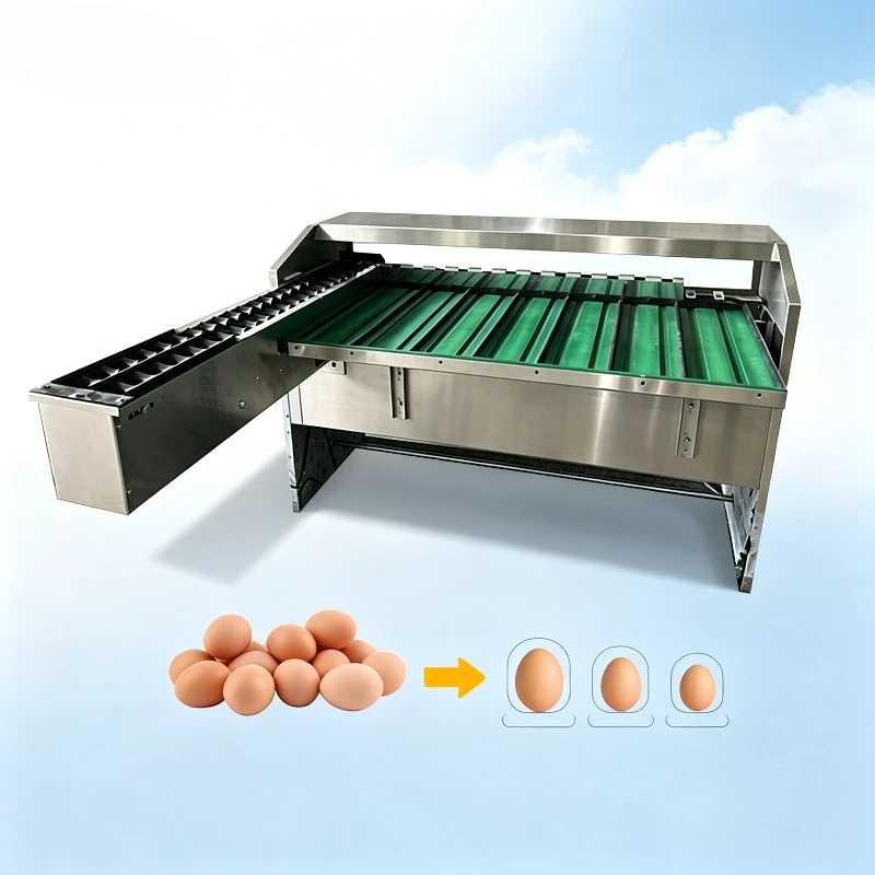 Touch Screen Controlled Automatic Egg Sorting Equipment Robot Arm Egg Loading System for Large Scale Farm