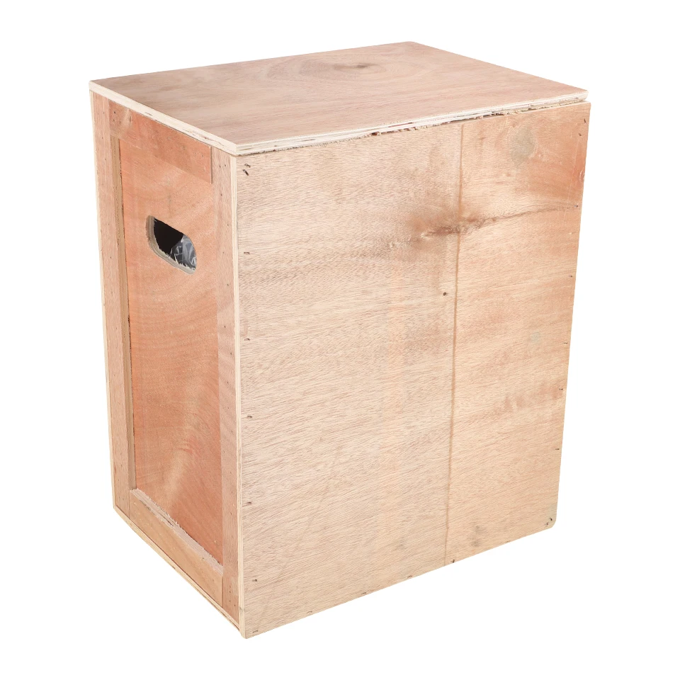 Pompe électrique hydraulique rechargeable DB-600 avec interrupteur manuel