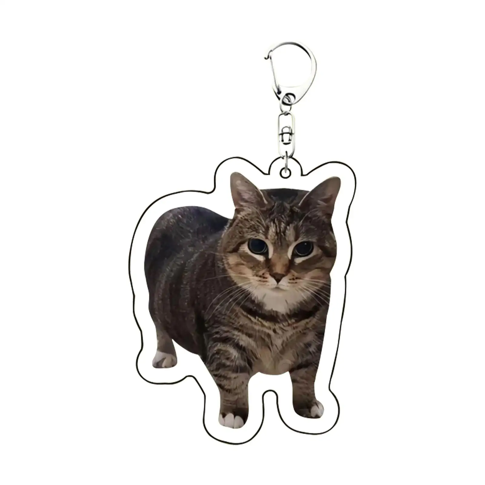 

Cat Keychain Cat Acrylic Keychain Collectible Charm Fashion Ornament Animal Character For Teens Adults Couples Friends