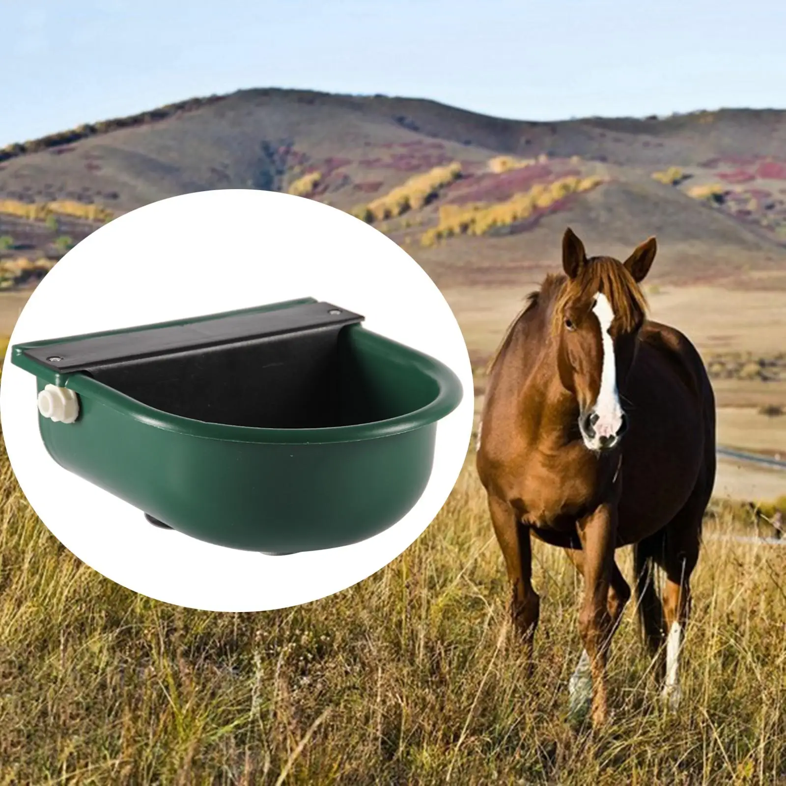 Automatic Water Trough Bowl Cattle Goat Water Drinker Bowl for Cow Horse Farm Animal Livestock Poultry Feeding Equipment