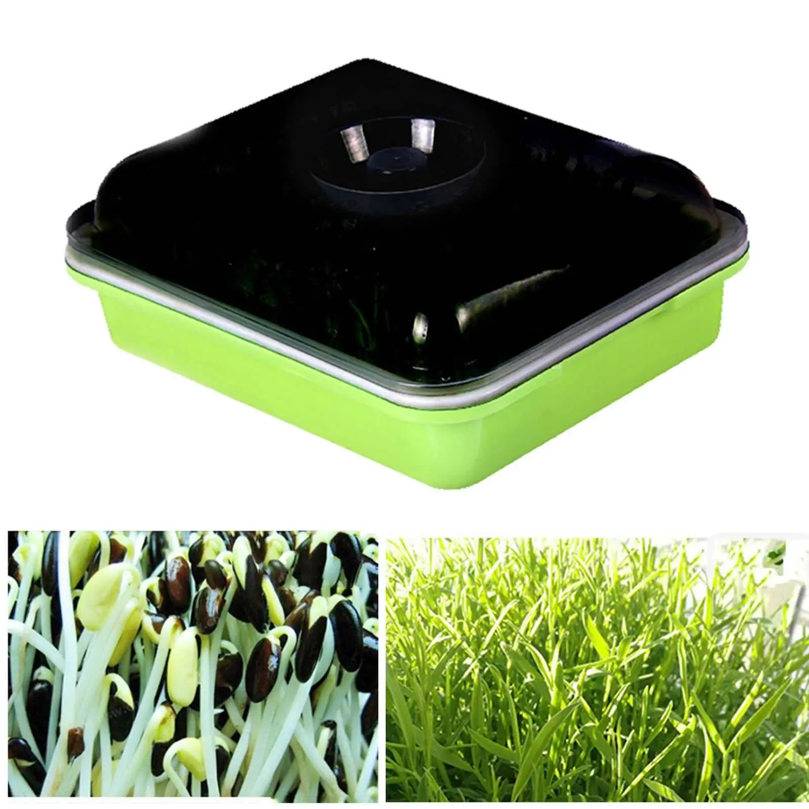 Seed Sprouter Tray with Lid Big Capacity Seed Germination Tray Microgreens Growing Tray for Garden Indoor Gardening Home Office