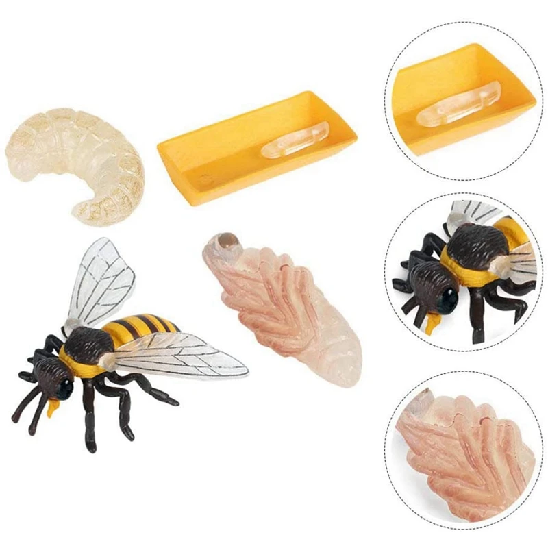 B05B-Pack Of 12 Insect Figurines Life Cycle Of Honey Bee Realistic Insects Figures Toys Educational Science Model Toy