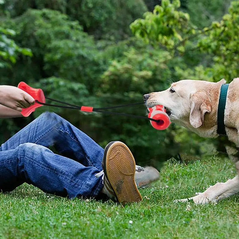 Puppy Chew Toys Stable Puppy Chew Toys with Strong Suction Base Interactive Dog Toy Bite Resistant Multifunctional Bone Stick