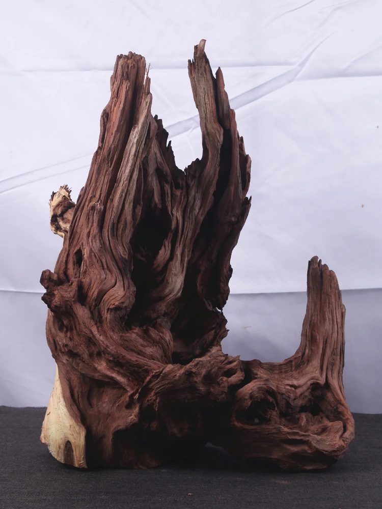 

Декор для аквариума из кораллового дерева: сухоцветы, коряги, декор для аквариума с черепахами, декор для аквариума с рододендроном лакепе