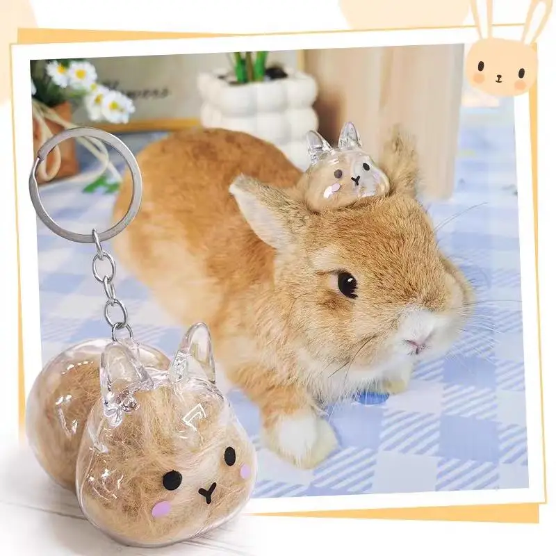 

Clear Rabbit Hair Memorial Keepsake Capsule Pet's Fur Container Cute Portable Pet Hair Storage Box Pet Lovers Home Display Gifts