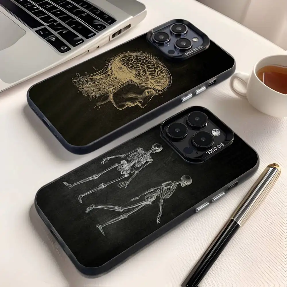 

Anatomy Skeleton Phone Case For iPhone 16,15,14,13,12,11,8,7,Pro,Max,Plus,Mini,XS,SE Anti Fall Black Matte Hard