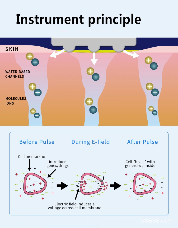 DEP non-invasive water light instrument FSD face moisturizing essence superconductor