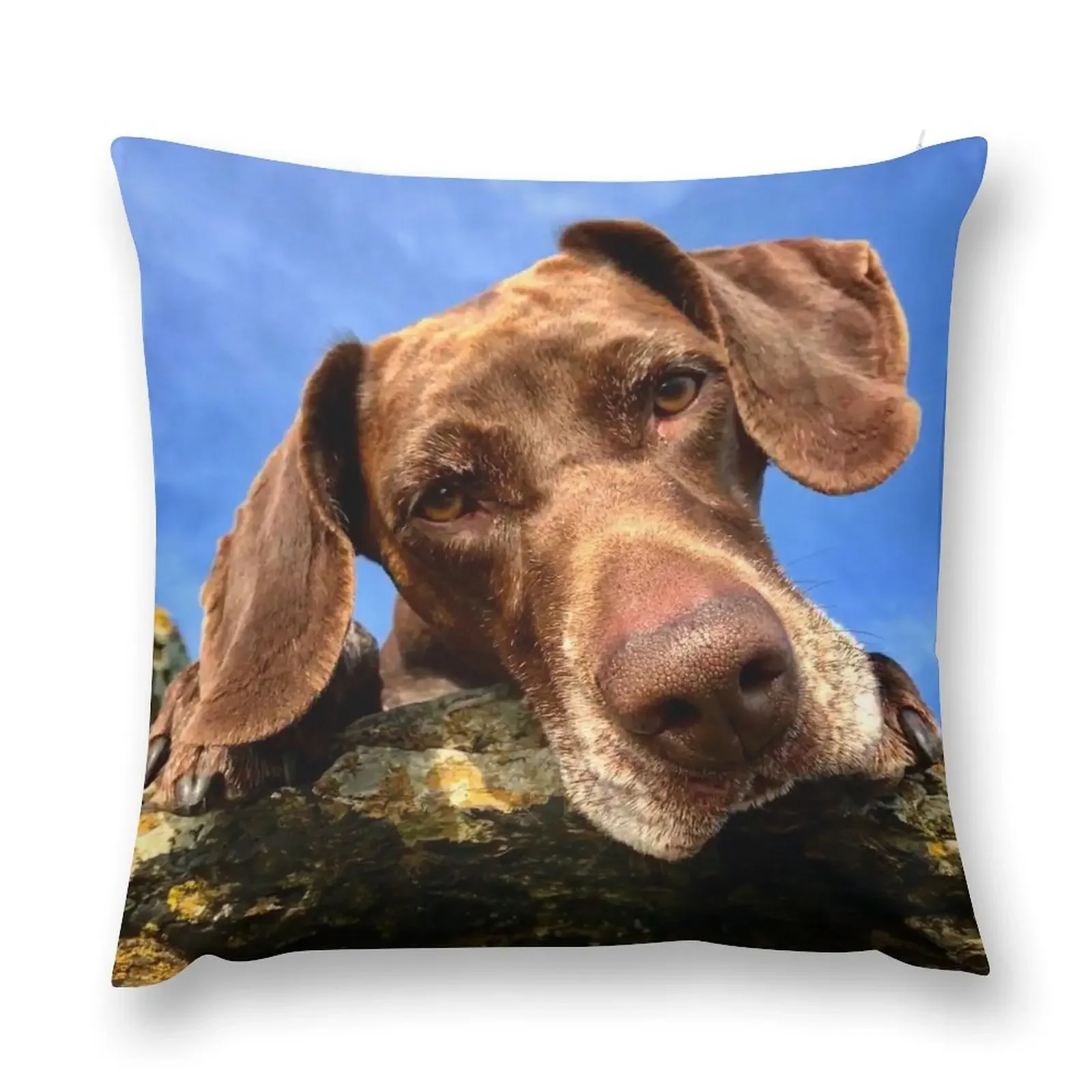 

Luna the lunatic gsp Throw Pillow Pillowcases Cushion Covers Sofa Pillows Aesthetic pillows decor home pillow