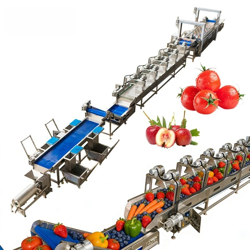 Fully Automatic Bubble Washing Line: Fruit and Vegetable Cleaning and Pesticide Removal Processing Equipment