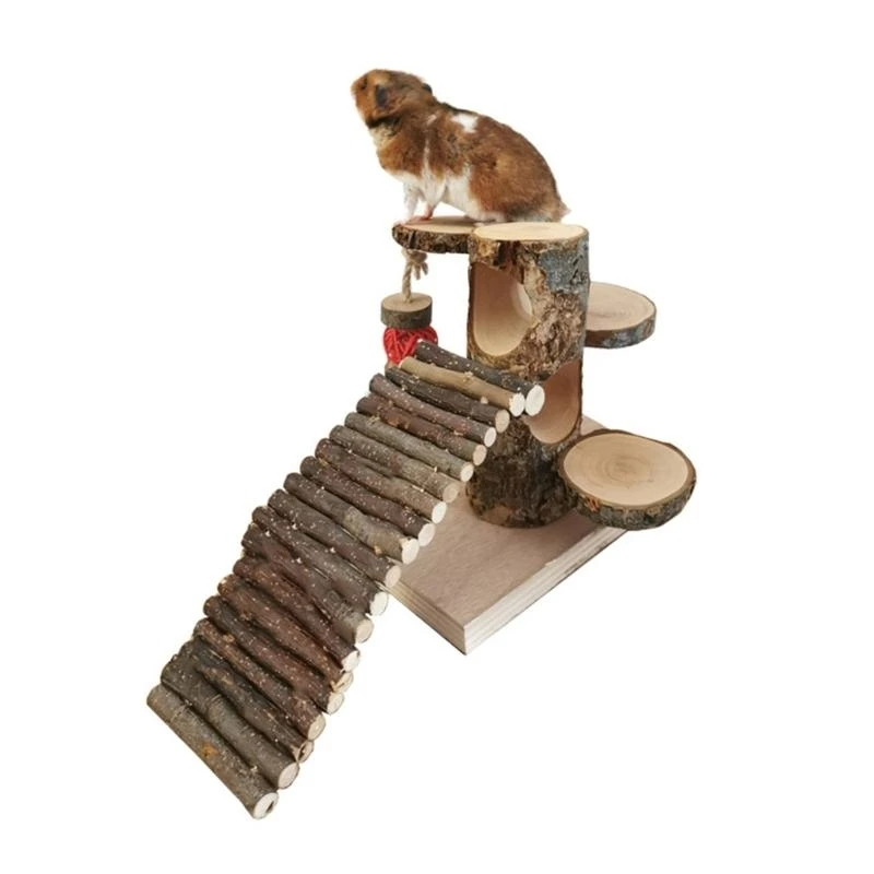 Escalera escalada para hámster, plataforma juguete que proporciona espacio seguro y emocionante para hámster, venta