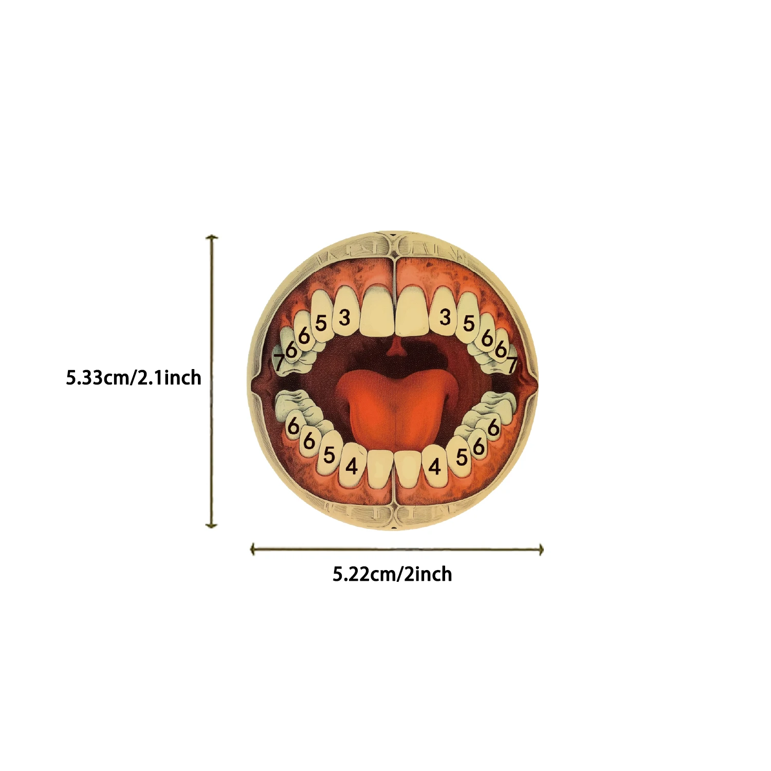 50/100 шт., ретро научная анатомия, наклейка со скелетом, изысканные справочники, материал, чехлы для телефонов, чемоданы для ноутбуков, чашки для воды