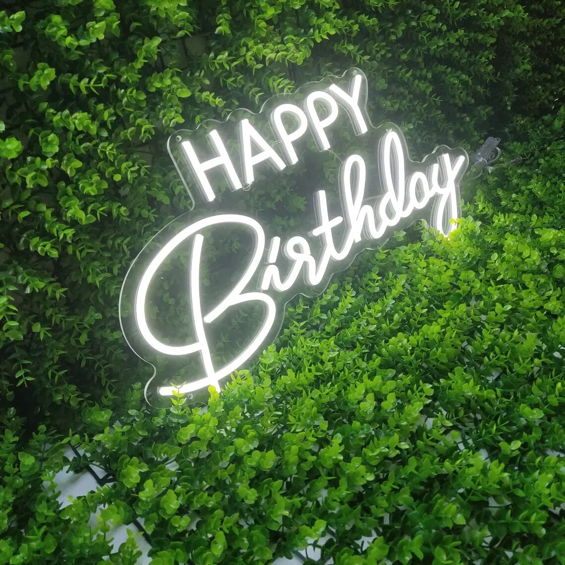 Imagem -03 - Custom Neon Sign Lights Art Decor Suprimentos Presente Gênero Revelar Baby Show Presentes Personalizados Happy Birthday Party