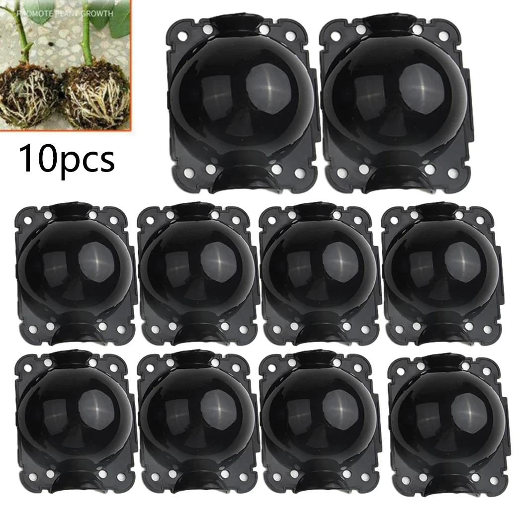 

Garden Graft Box Sapling: 10 Pcs High Pressure Propagation Ball Growing Box Breeding Case for Plant Rooting Equipment