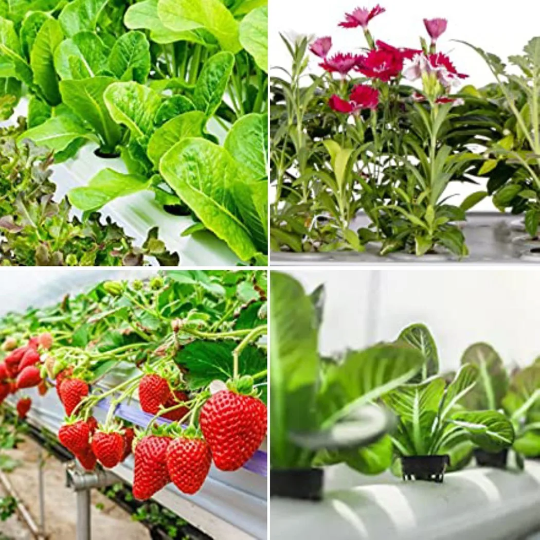 

25 шт. пластиковые чашки для горшков для садовых корзин для растений, контейнеры, совместимые с установками для аэропоники и клонирования