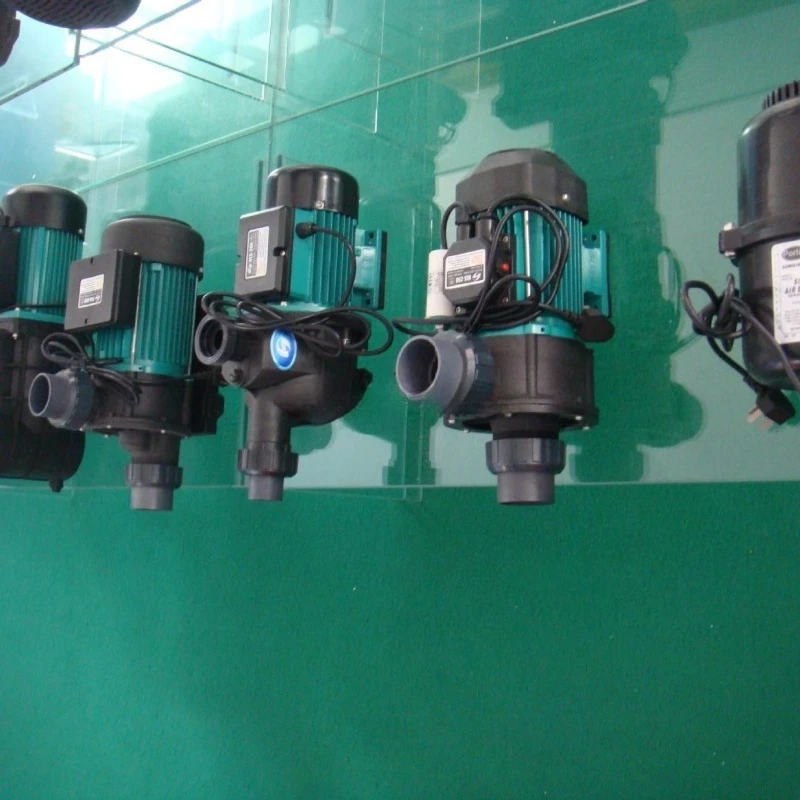 Seafood Fish Tank F… - image